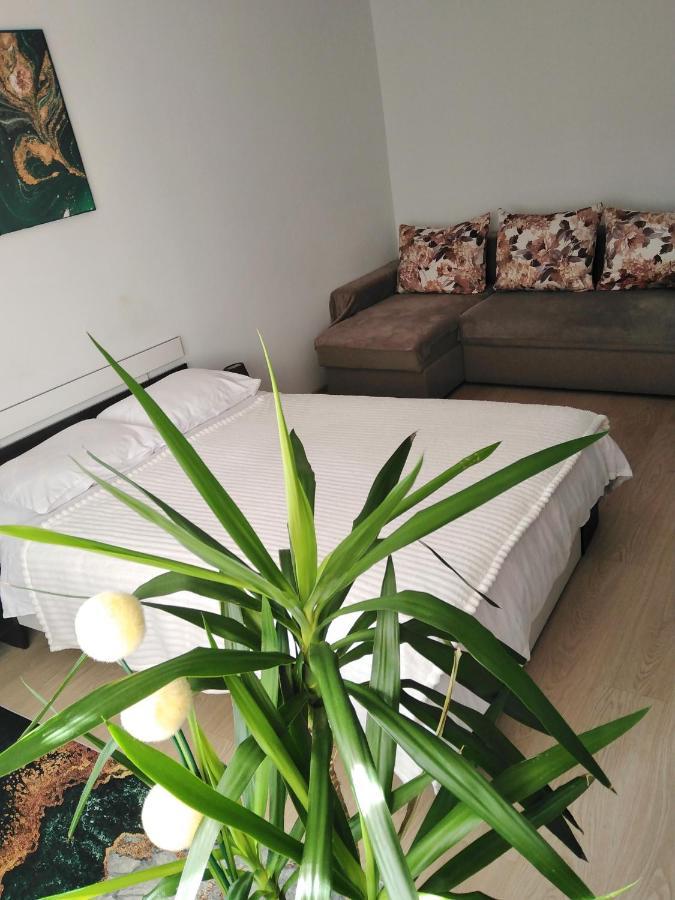 Garsoniera Rebecca Daire Tîrgu Ocna Dış mekan fotoğraf