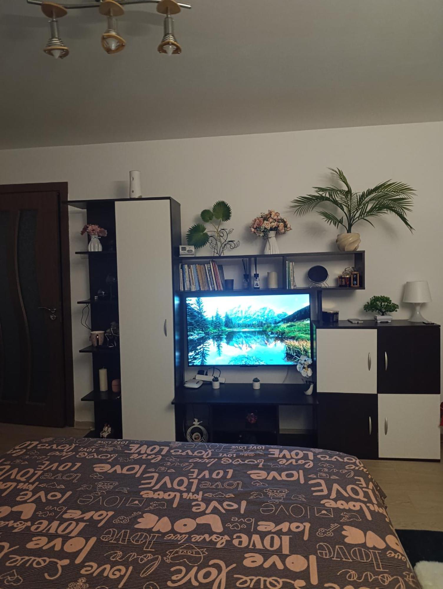 Garsoniera Rebecca Daire Tîrgu Ocna Dış mekan fotoğraf